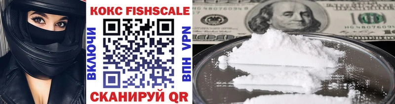 COCAIN Fish Scale  цены наркотик  Устюжна 