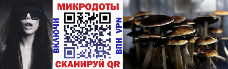 Галлюциногенные грибы Psilocybine cubensis Устюжна