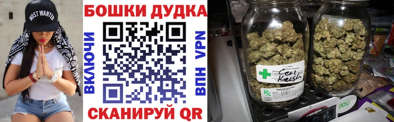 Канабис гибрид  Устюжна 